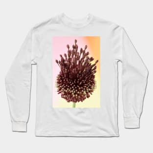 Allium amethystinum  &#39;Red Mohican&#39; Long Sleeve T-Shirt